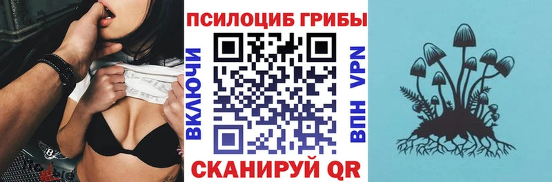 Псилоцибиновые грибы Cubensis  Вихоревка 
