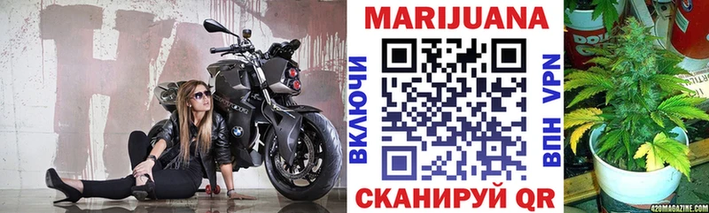Марихуана гибрид  Вихоревка 